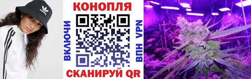 ОМГ ОМГ зеркало  Струнино  Бошки Шишки гибрид 